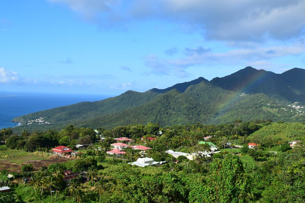 Villa L'îlot Fruits Guadeloupe à Trois-Rivières Extérieur photo